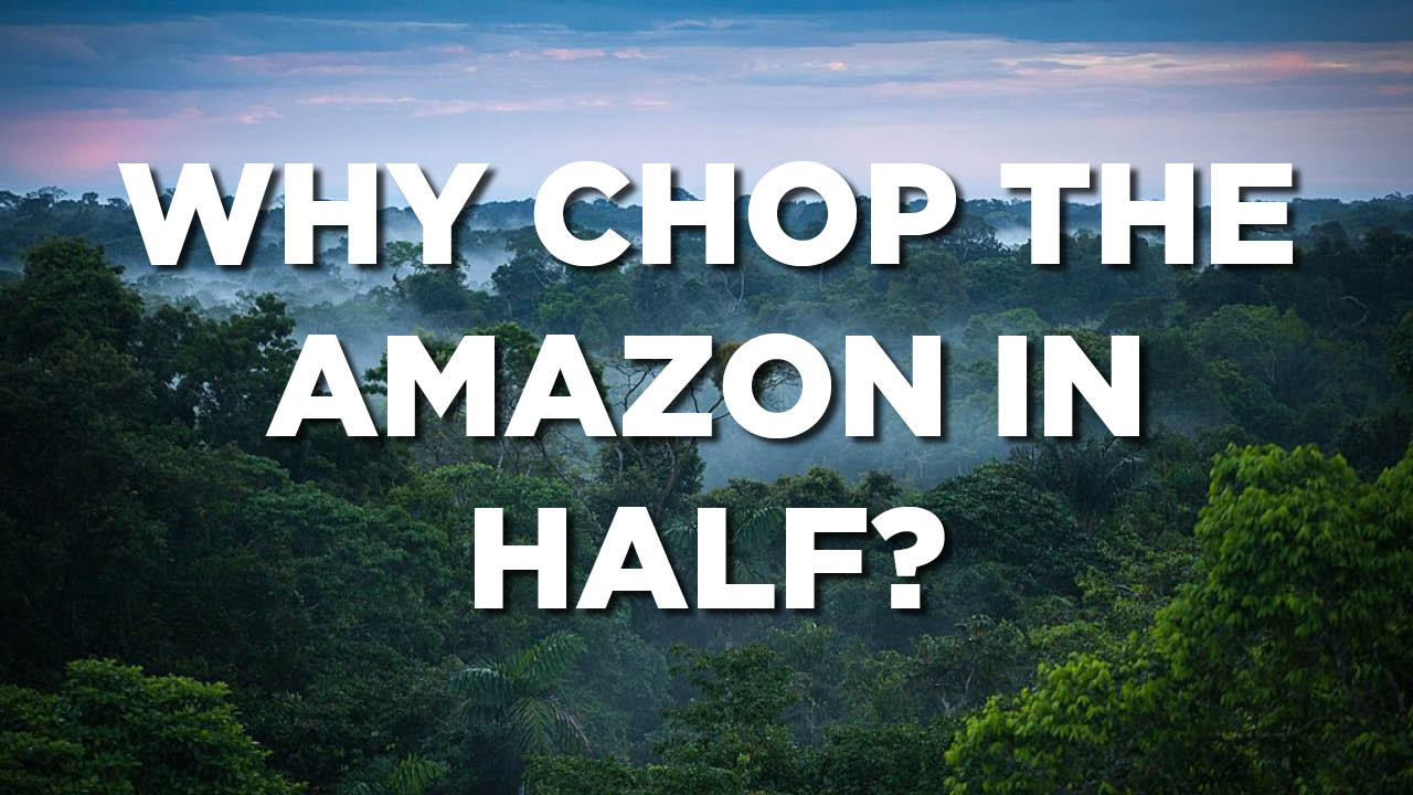 Amazon