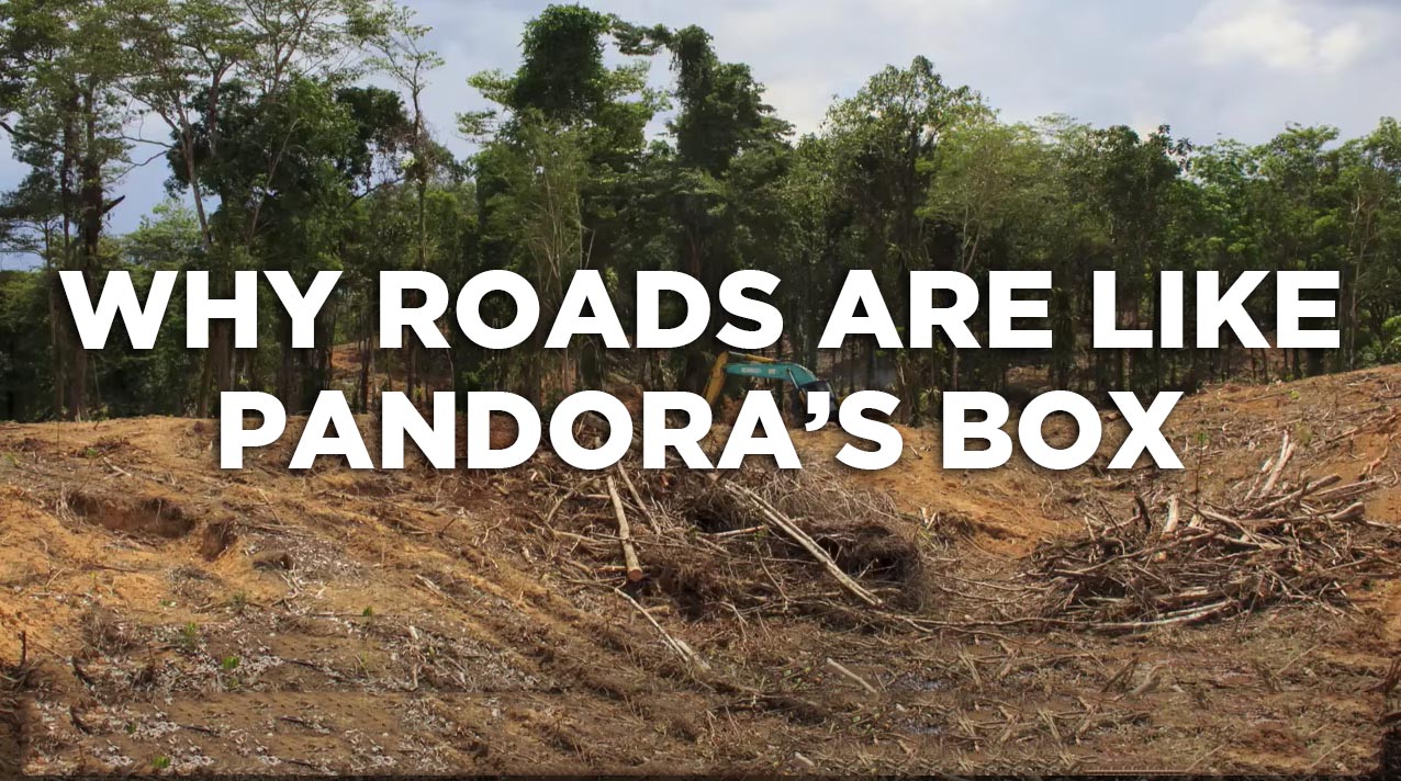 Why roads are like pandoras box