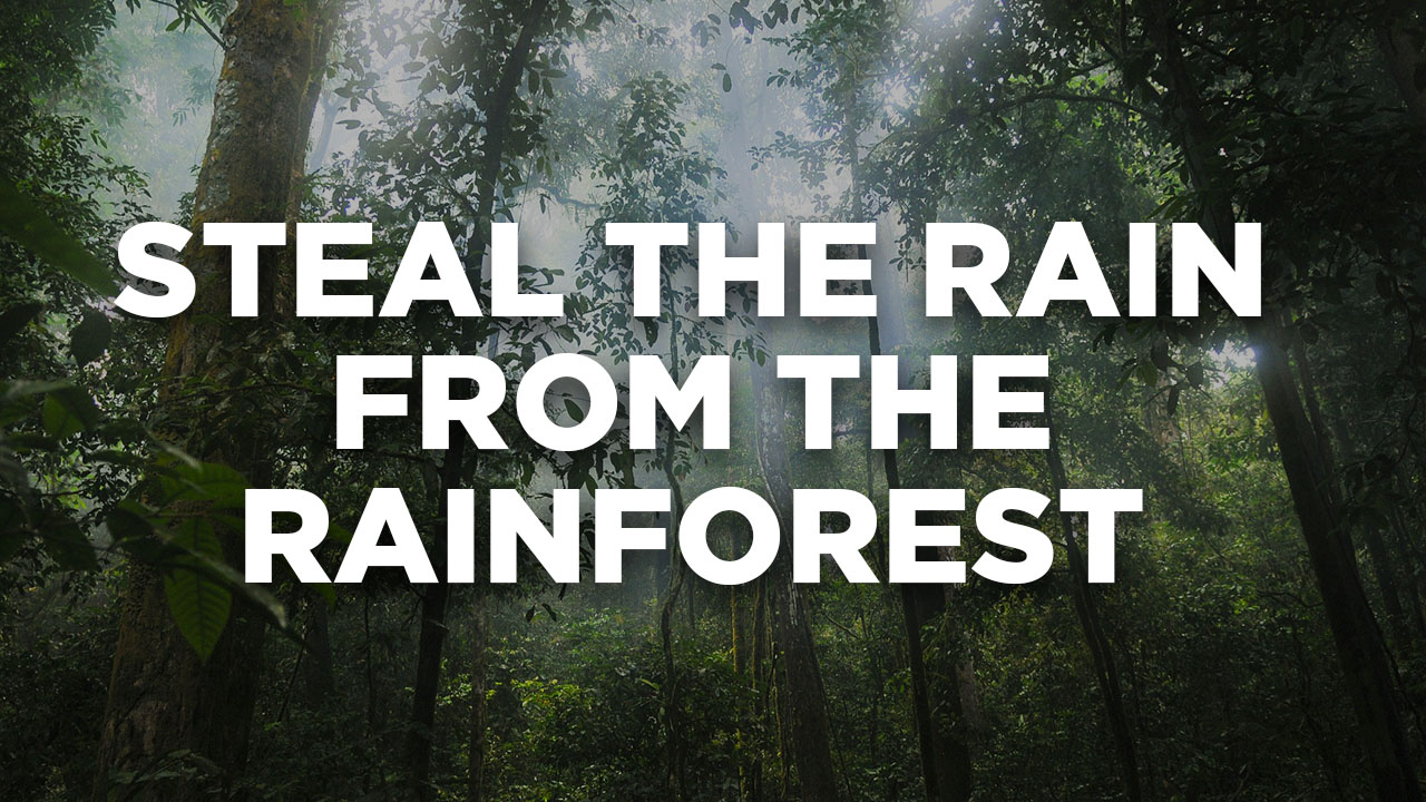Steal the rain