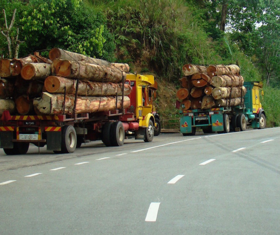 Road Logging