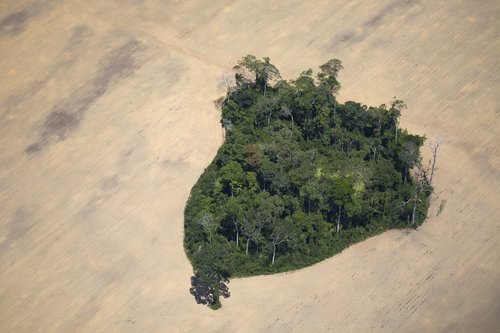Para State, Brazil. August 27th 2007. Flight from Itaituba to Alta Floresta (Brazilian Amazon). An island of rainforest has been spared in the middle of a soy field.