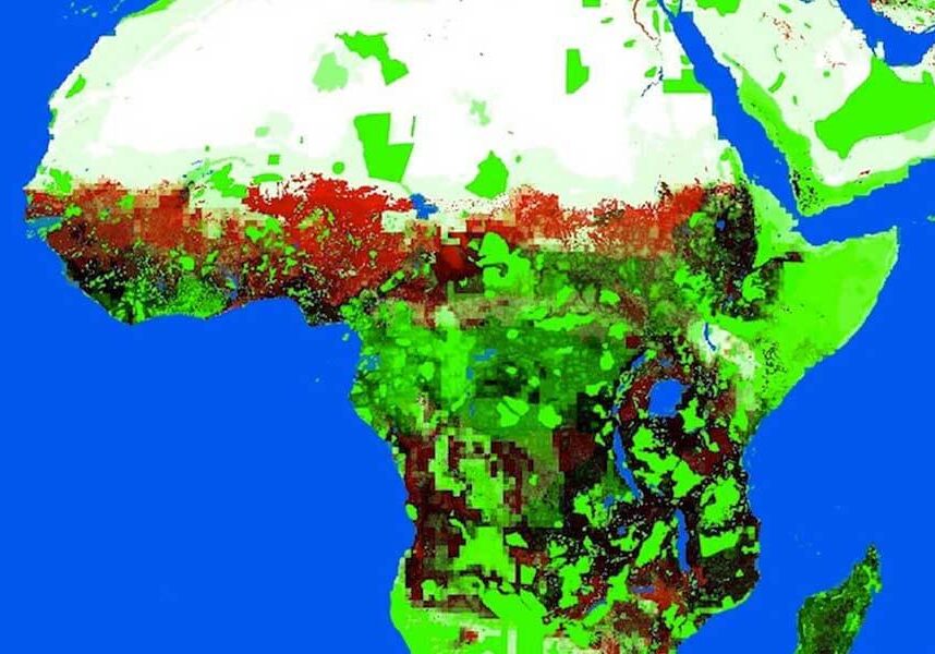 SMALL - Africa