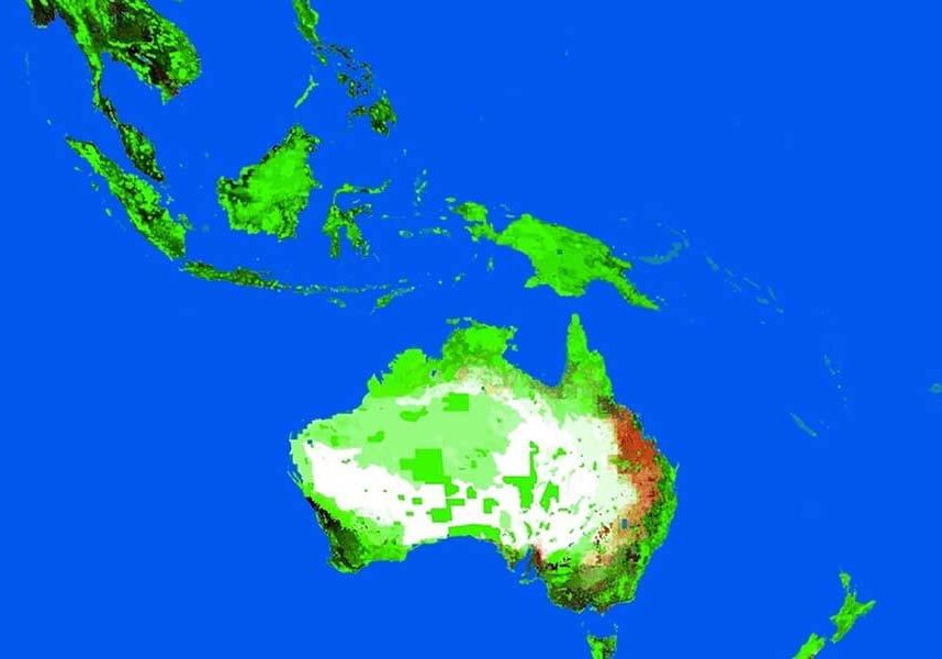 SMALL - Asia Pacific